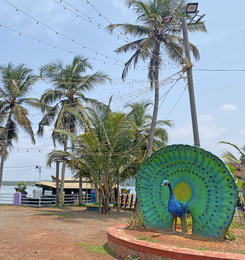 Beautiful peacock statue with lake and boat view in background
